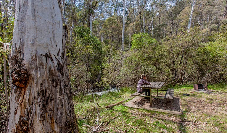 Buddong Falls campground, Kosciuszko National Park. Photo: Murray Vanderveer/NSW Government