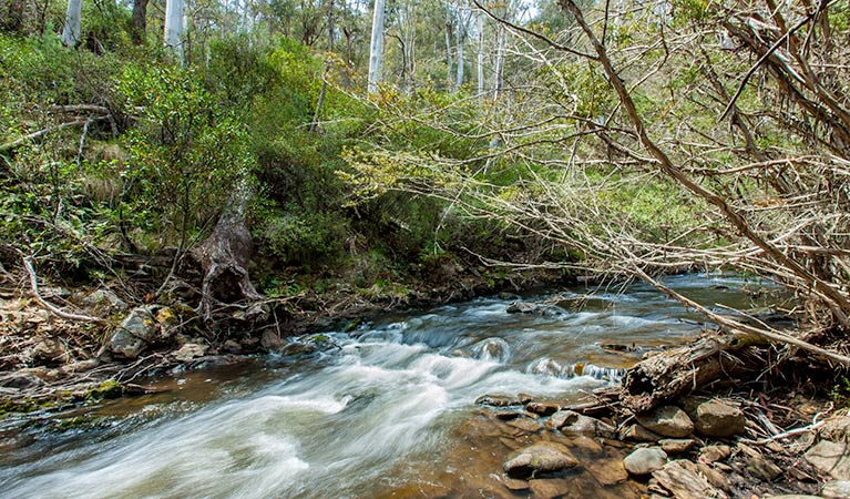 Buddong Falls campground, Kosciuszko National Park. Photo: Murray Vanderveer/NSW Government