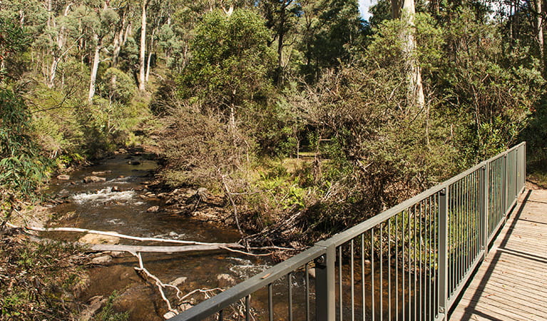 Wooden bridge with Buddong Creek to the left, surrounded by bushland in Kosciuszko National Park.  Photo: John Spencer &copy; OEH