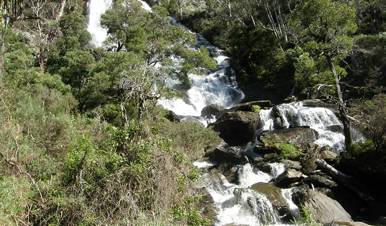 View of lower section of Buddong Falls cascading over rocks, surrounded by bushland. Photo: Simon Allender &copy; OEH
