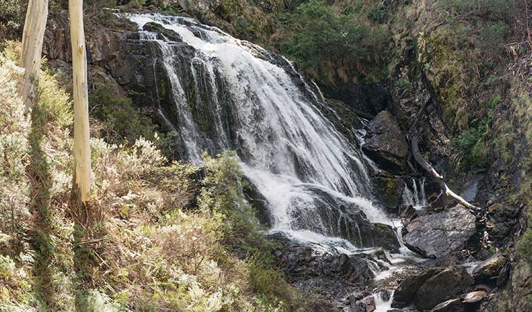 Buddong Falls in north-west Kosciuszko National Park. Photo: John Spencer &copy; OEH