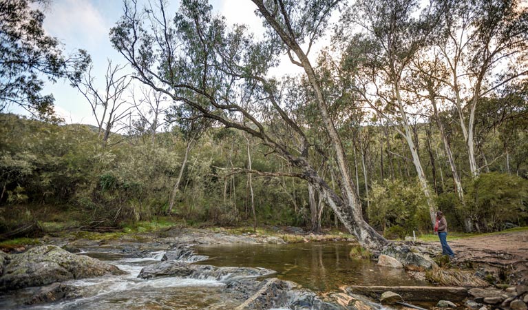 Jounama Creek campground, Kosciuszko National Park. Photo: Murray van der Veer