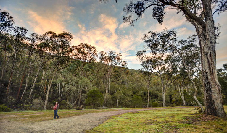 Jounama Creek campground, Kosciuszko National Park. Photo: Murray van der Veer