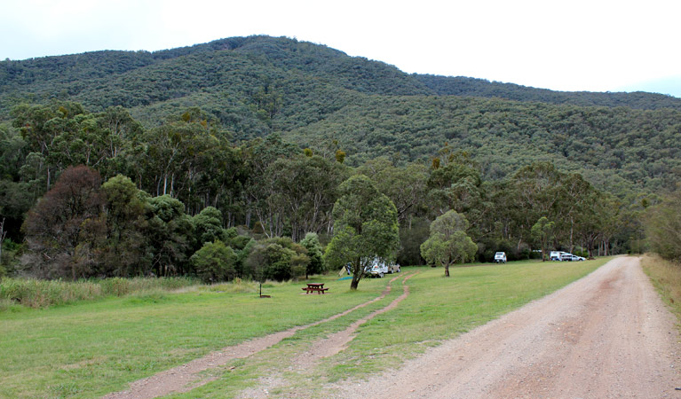 Jounama Creek campground, Kosciuszko National Park. Photo: Clint & Todd Wright/NSW Government