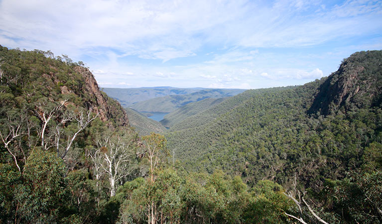 Landers Falls lookout, Kosciuszko National Park. Photo: Elinor Sheargold &copy; DPE