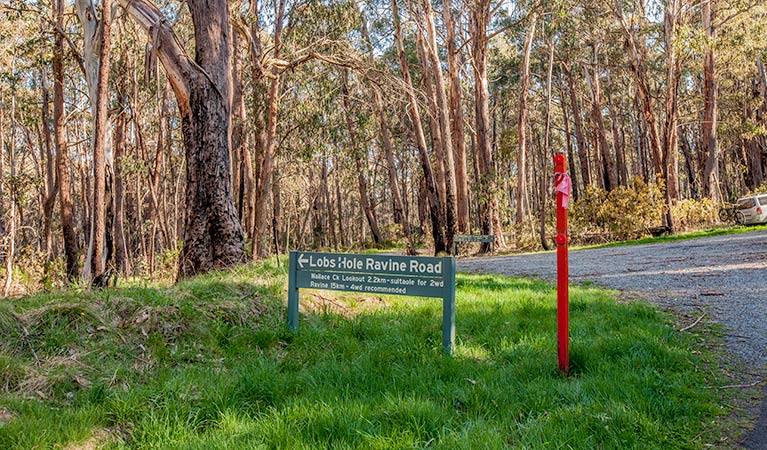 Lobs Hole Ravine 4WD trail, Kosciuszko National Park. Photo: Murray Vanderveer
