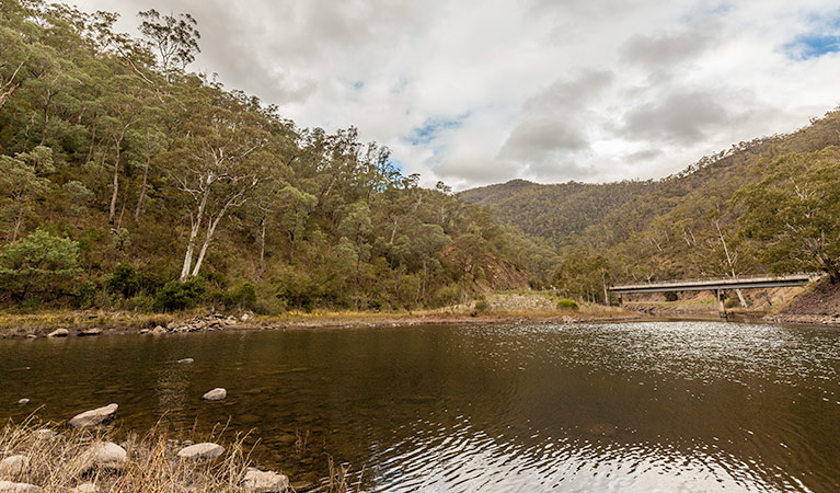 O'Hares campground, Kosciuszko National Park. Photo: Murray Vanderveer/NSW Government