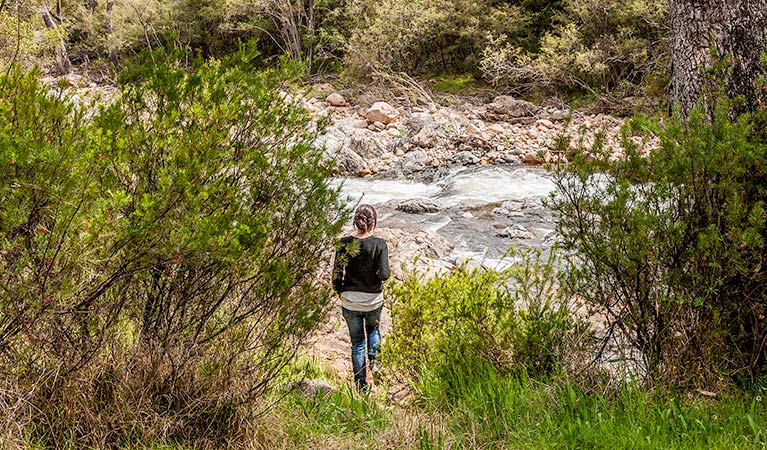 Jounama Creek, Kosciuszko National Park. Photo: Murray Vanderveer