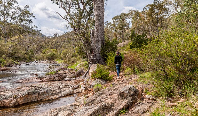 Old Mountain Road walking track, Kosciuszko National Park. Photo: Murray Vanderveer &copy; OEH