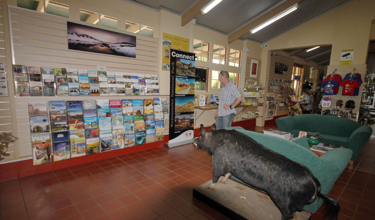 Inside the Tumut Visitor Centre, near northern Kosciuszko National Park. Photo: Elinor Sheargold &copy; OEH