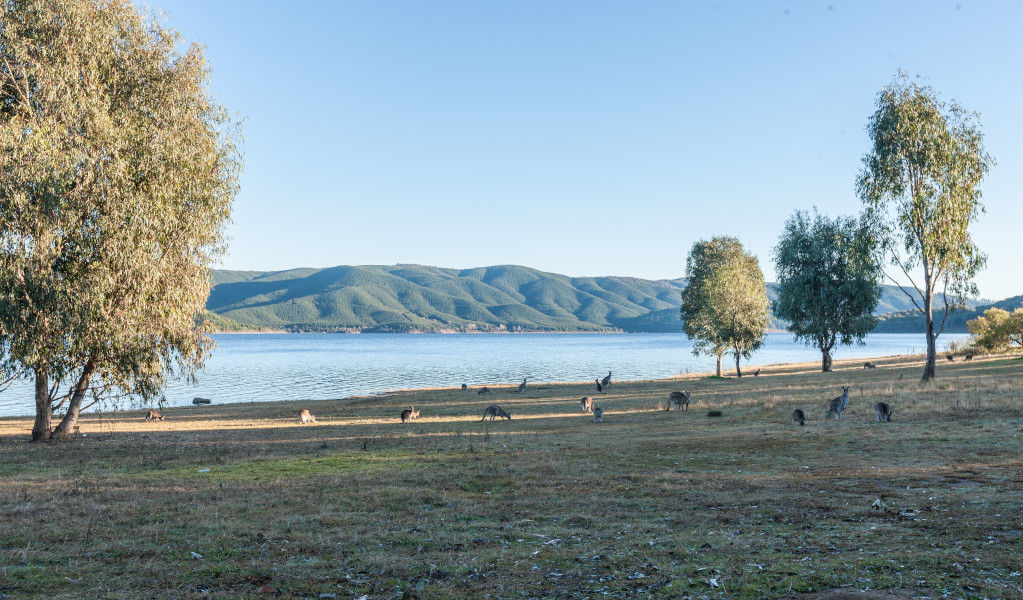 Yachting Point campground in Kosciuszko National Park. Photo: Murray Vanderveer &copy; DCCEEW