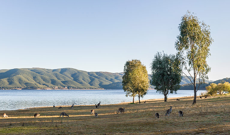 Yachting Point campground, Kosciuszko National Park. Photo: Murray Vanderveer