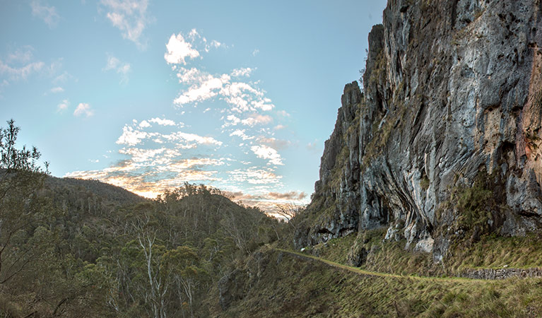 Castle Cave walking track passes below limestone cliffs, Yarrangobilly Caves, Kosciuszko National Park. Photo: Murray Vanderveer