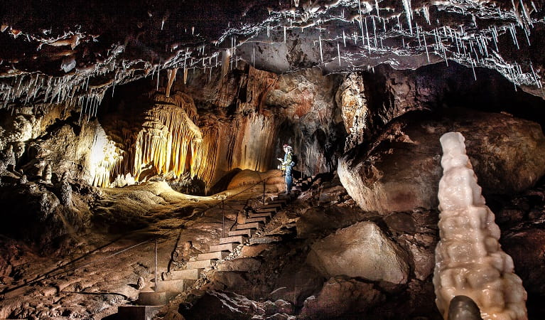 Explore Castle Cave, at Yarrangobilly Caves in Kosciuszko National Park. Photo: Murray Vanderveer