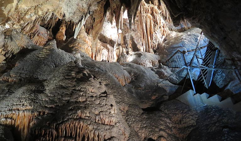 Jersey Cave at Yarrangobily Caves in Kosciuszko National Park. Photo: Elinor Sheargold &copy; OEH