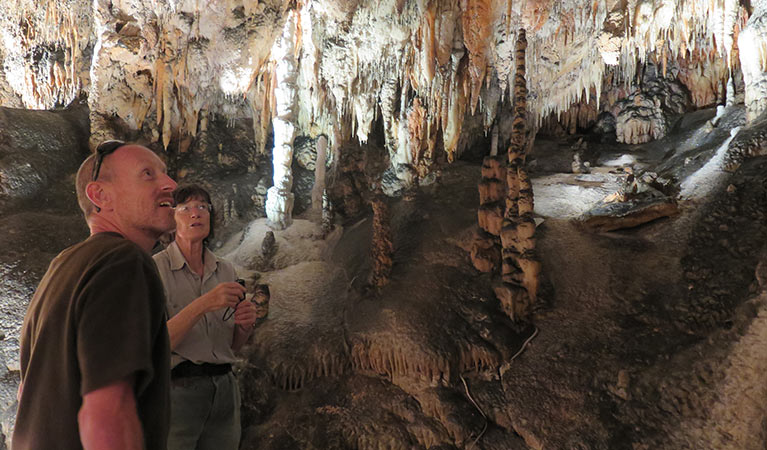 Jersey Cave tour at Yarrangobilly Caves, Kosciuszko National Park. Photo: Elinor Sheargold &copy; OEH