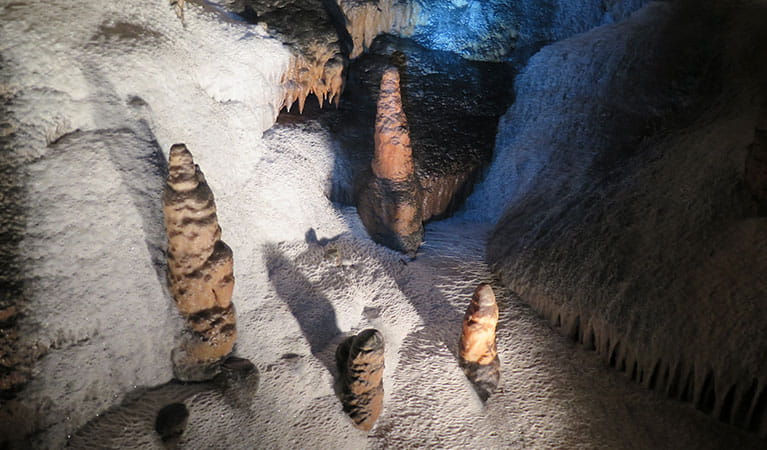 Jersey Cave stalagmites, Yarrangobilly Caves, Kosciuszko National Park. Photo: Elinor Sheargold &copy; OEH