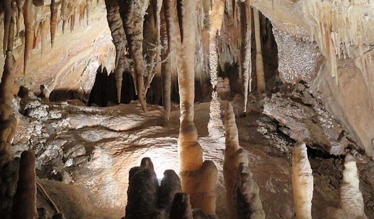 Jillabenan Cave, Yarrangobilly Caves, Kosciuszko National Park. Photo: Elinor Sheargold &copy; OEH