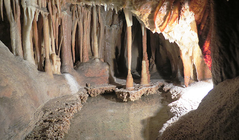 Colourful Jillabenan Cave at Yarrangobilly Caves, Kosciuszko National Park. Photo: Elinor Sheargold &copy; OEH