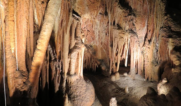 Jillabenan Cave stalactites at Yarrangobilly Caves, Kosciuszko National Park. Photo: Elinor Sheargold &copy; OEH