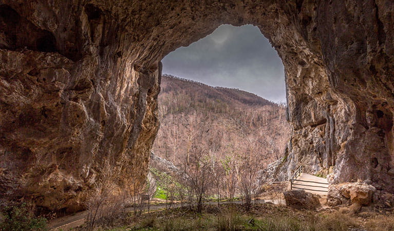 Inside the entrance of North Glory Cave, looking out towards Kosciuszko National Park at Yarrangobilly Caves. Photo: Adam Klumper &copy; Adam Klumper