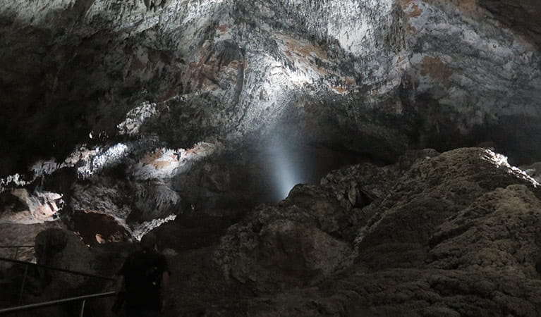 South Glory Cave, Yarrangobilly Caves, Kosciuszko National Park. Photo: E Sheargold/OEH