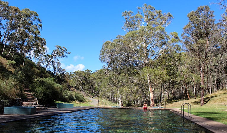 Yarrangobilly thermal pool, Kosiuszko National Park. Photo: Murray Vanderveer/OEH.