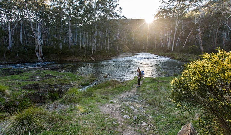 Yarrangobilly River walk, Kosciuszko National Park. Photo: Murray Vanderveer