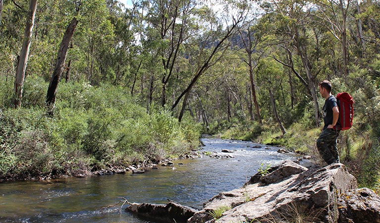 Yarrangobilly River walk, Kosciuszko National Park. Photo: Clint and Todd Wright