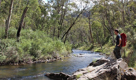 Yarrangobilly River walk, Kosciuszko National Park. Photo: Clint and Todd Wright