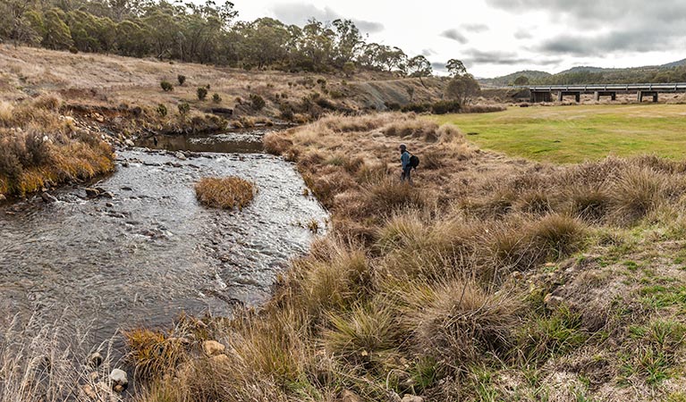 Yarrangobilly Village campground, Kosciuszko National Park. Photo: Murray Vanderveer/NSW Government