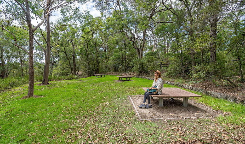 A person sitting on a picnic platform surrounded by bush at Apple Tree picnic area, Ku-ring-gai Chase National Park. Credit: John Spencer &copy; DCCEEW