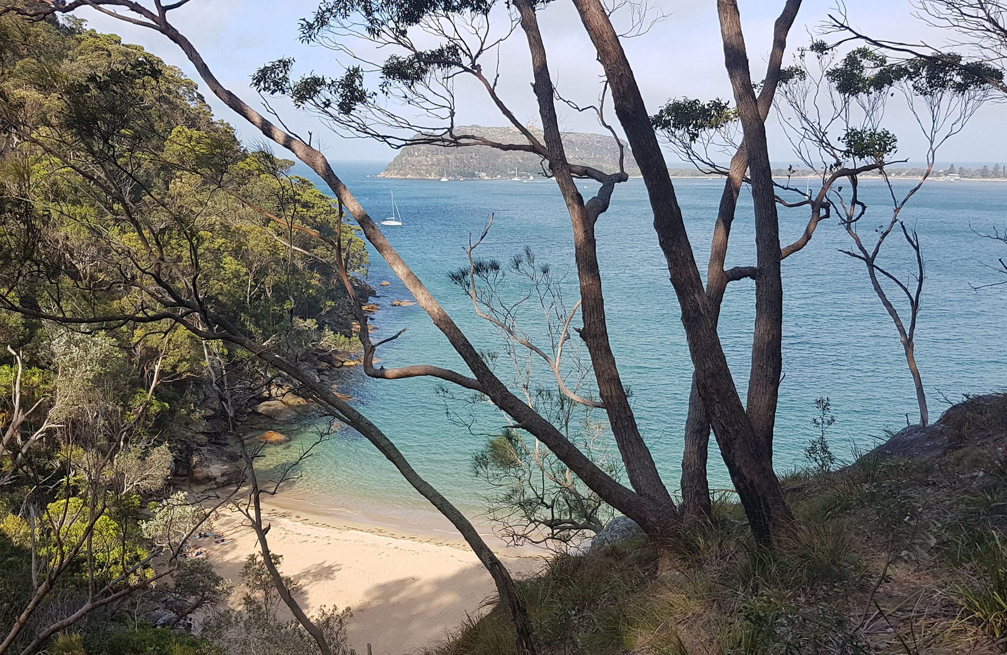 View out over Pittwater, from the West Head area of Ku-ring-gai Chase National Park. Photo credit: Nicole Ribera &copy; DPIE