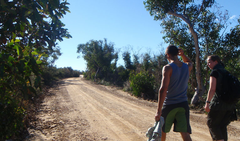 Two people walking on the Basin and Mackerel track. Photo: Andy Richards