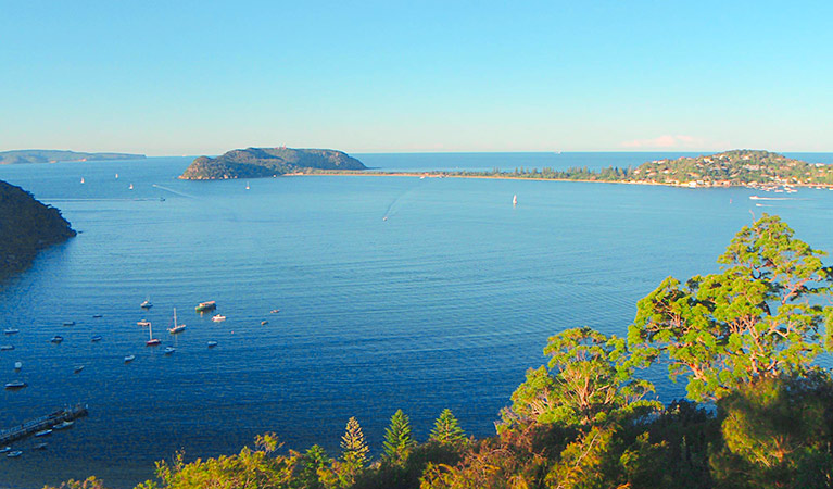 The Basin track and Mackerel track, Ku-ring-gai Chase National Park. Photo: Andrew Richards