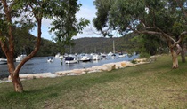 Apple Tree Bay, Ku-ring-gai Chase National Park. Photo &copy; Andy Richards