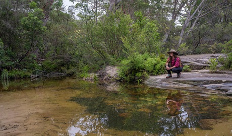 Duckholes picnic area. Credit: John Spencer &copy; DCCEEW