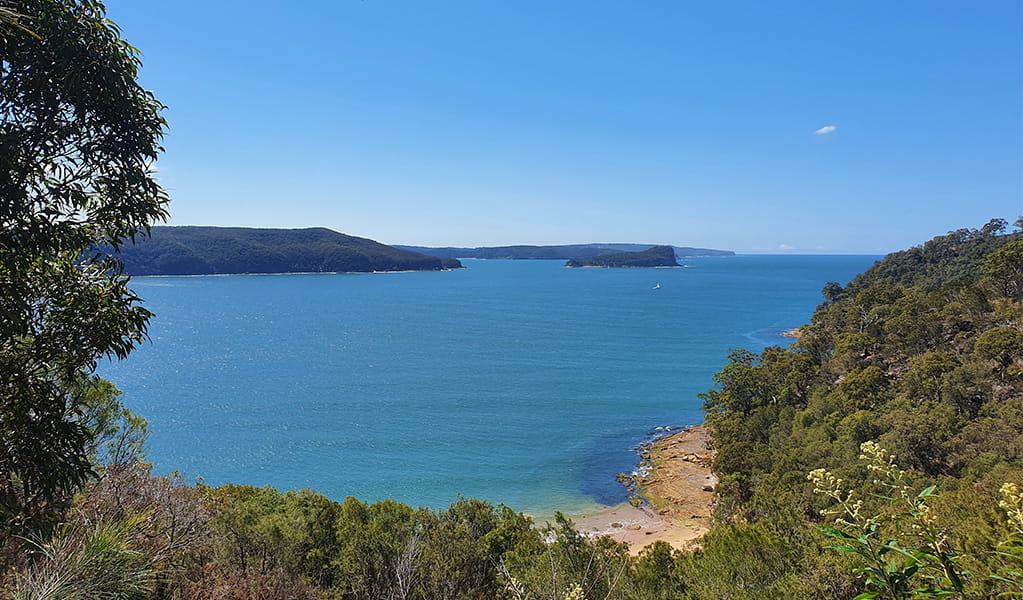 Flint and Steel track in Ku-ring-gai Chase National Park. Photo credit: Luke McSweeney &copy; DPIE