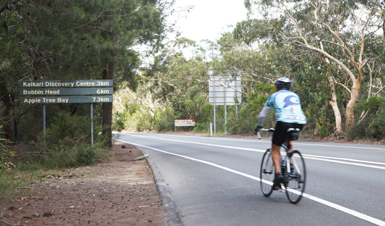 Mount Colah Station to Pymble Station cycle route, Ku-ring-gai Chase National Park. Photo: Andy Richards