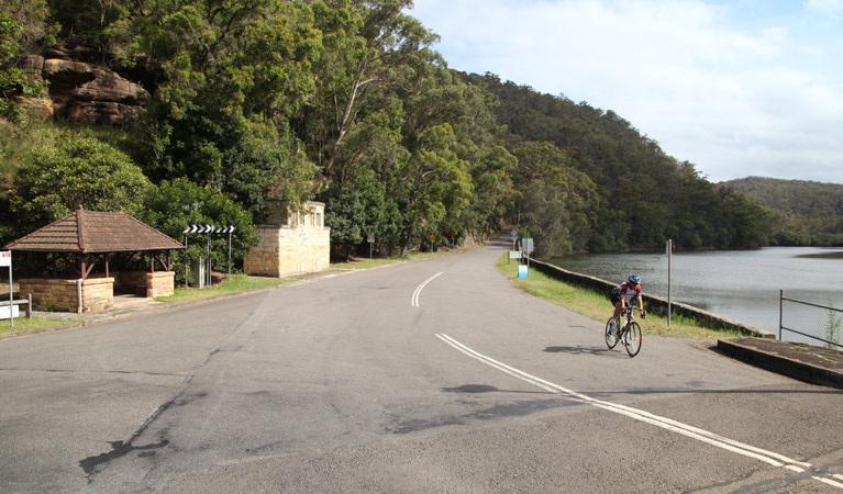 Mount Colah Station to Pymble Station, Ku-ring-gai Chase National Park. Photo: Andy Richards