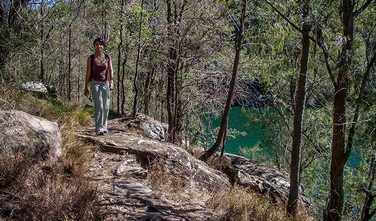 A person walking along the track, Mount-Ku-ring-gai track to Berowra, Ku-ring-gai Chase National Park. Photo: Andy Richards/NSW Government