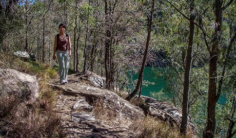 A person walking along the track, Mount-Ku-ring-gai track to Berowra, Ku-ring-gai Chase National Park. Photo: Andy Richards