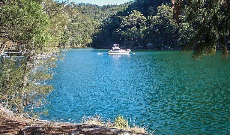 A boat on the river, Mount Ku-ring-gai track to Berowra, Ku-ring-gai Chase National Park. Photo: Andy Richards