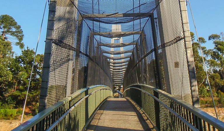 A footbridge on the Mount Ku-ring-gai track to Berowra, Ku-ring-gai Chase National Park. Photo: Andy Richards