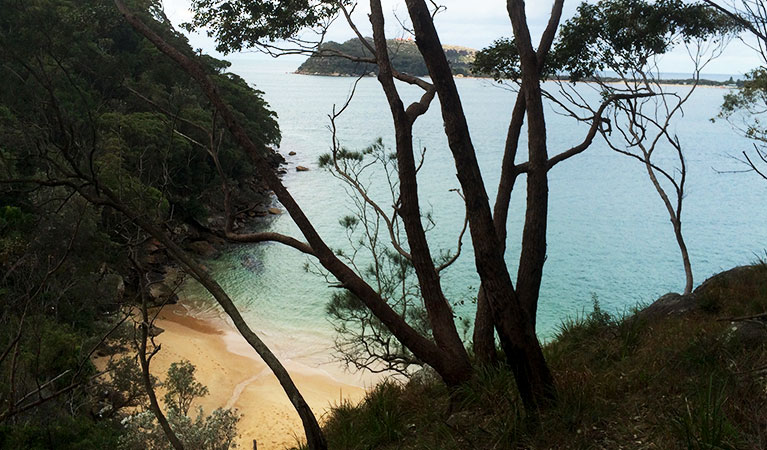 Resolute Beach can be reached via Aboriginal heritage walk, Ku-ring-gai Chase National Park. Photo: Natasha Webb /OEH