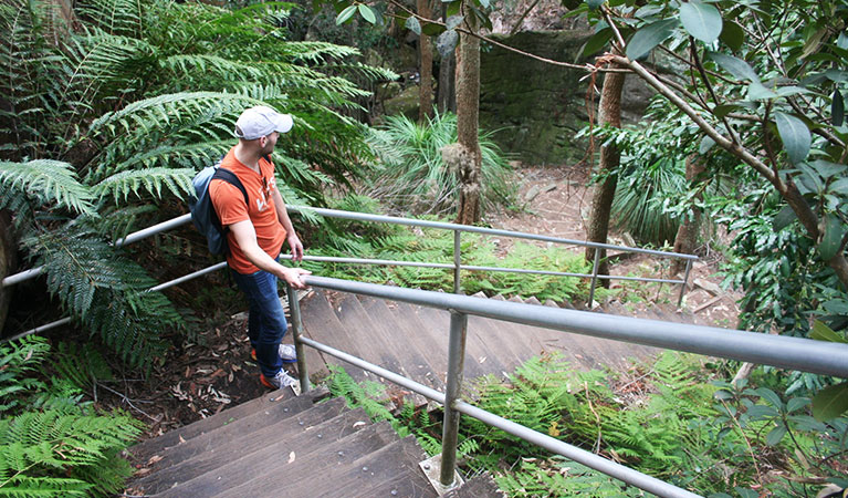 Stairs along the Aboriginal heritage walk, Ku-ring-gai Chase National Park. Photo: Natasha Webb /OEH