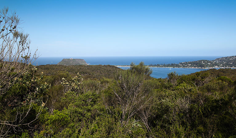 Aboriginal heritage walk, Ku-ring-gai Chase National Park. Photo: Andrew Richards/OEH