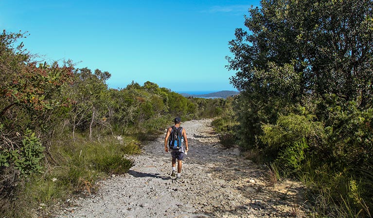 Aboriginal heritage walk, Ku-ring-gai Chase National Park. Photo: Andrew Richards/OEH