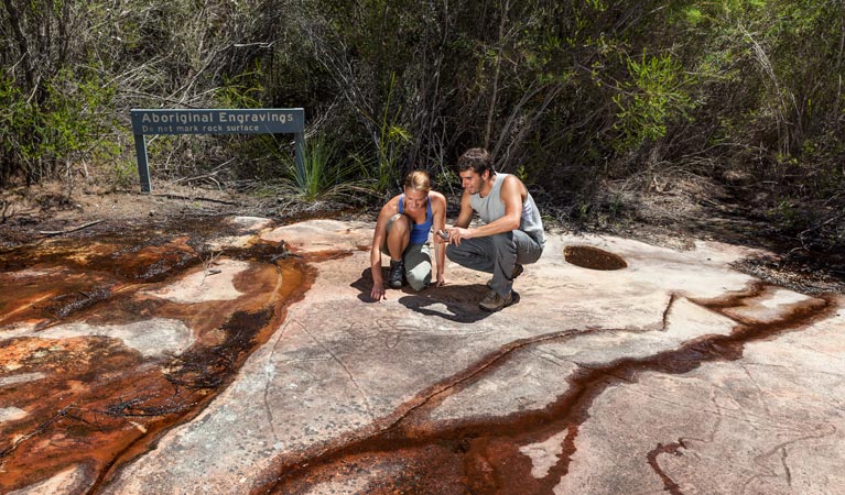 America Bay track, Ku-ring-gai Chase National Park. Photo: David Finnegan &copy; OEH