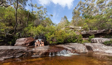 America Bay track, Ku-ring-gai Chase National Park. Photo: David Finnegan &copy; OEH